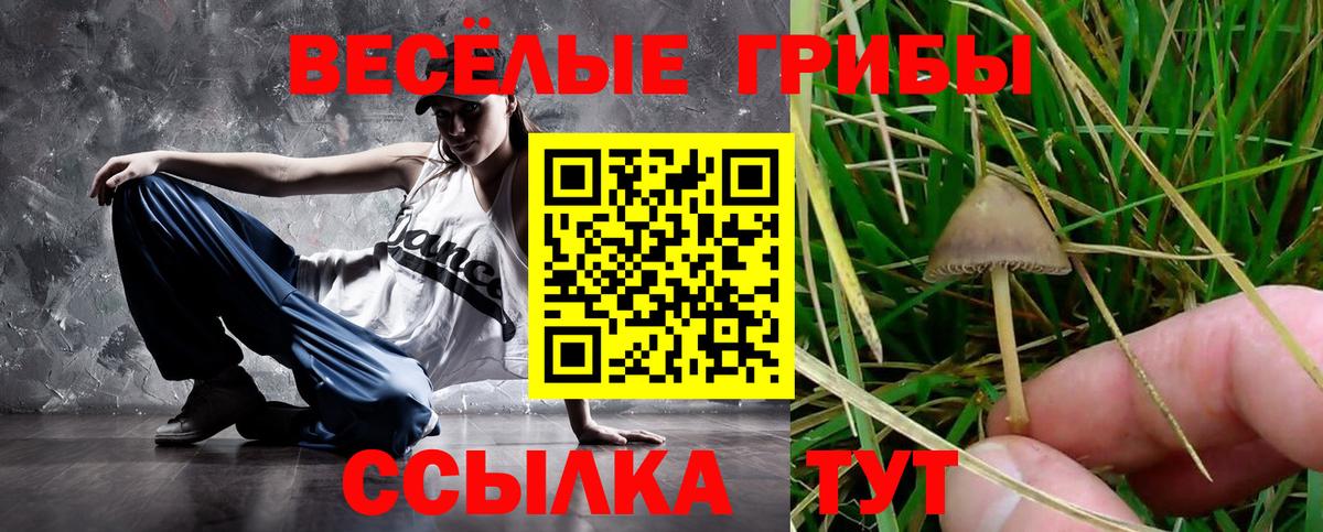 Псилоцибиновые грибы GOLDEN TEACHER Воркута